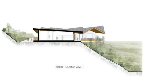 半山崖廢棄雞棚的暖心蛻變 小石村食品共享工廠與商品房代購(gòu)代銷的鄉(xiāng)村振興新實(shí)踐