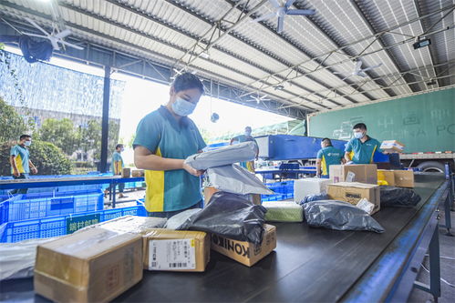 武義農(nóng)村電商 從“個富”到“共富”，商品房代購代銷開辟鄉(xiāng)村振興新路徑